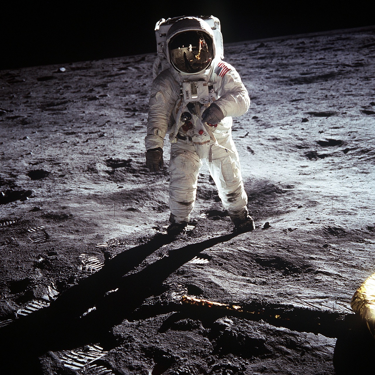 moon landing apollo 11 nasa free photo