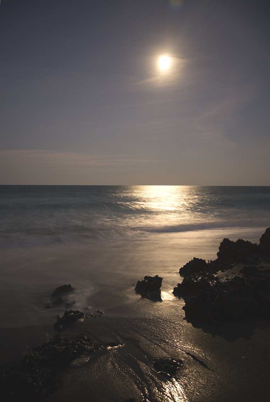 moon rise ocean beach free photo