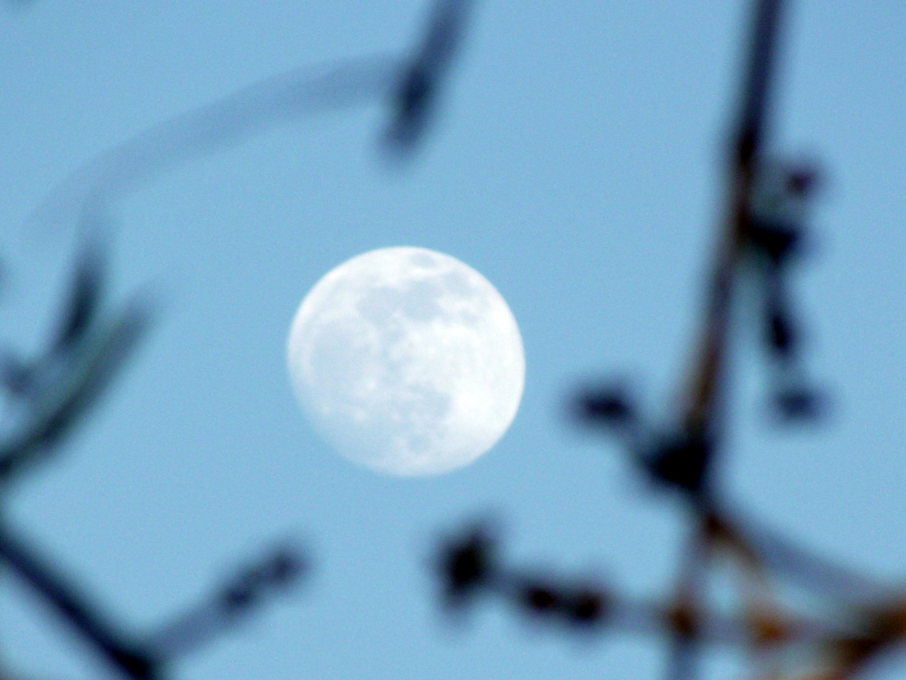 Две Луны на небе. Луна Скай. Фото весеннего неба с луной.
