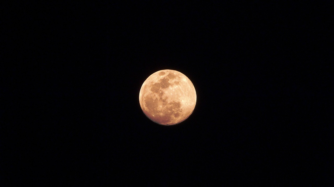 moonlight moon sky free photo