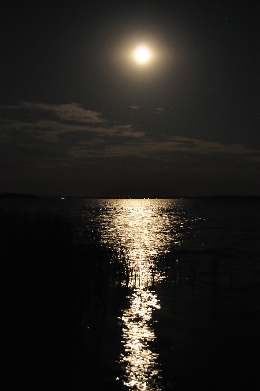 moonlight water sparkle free photo