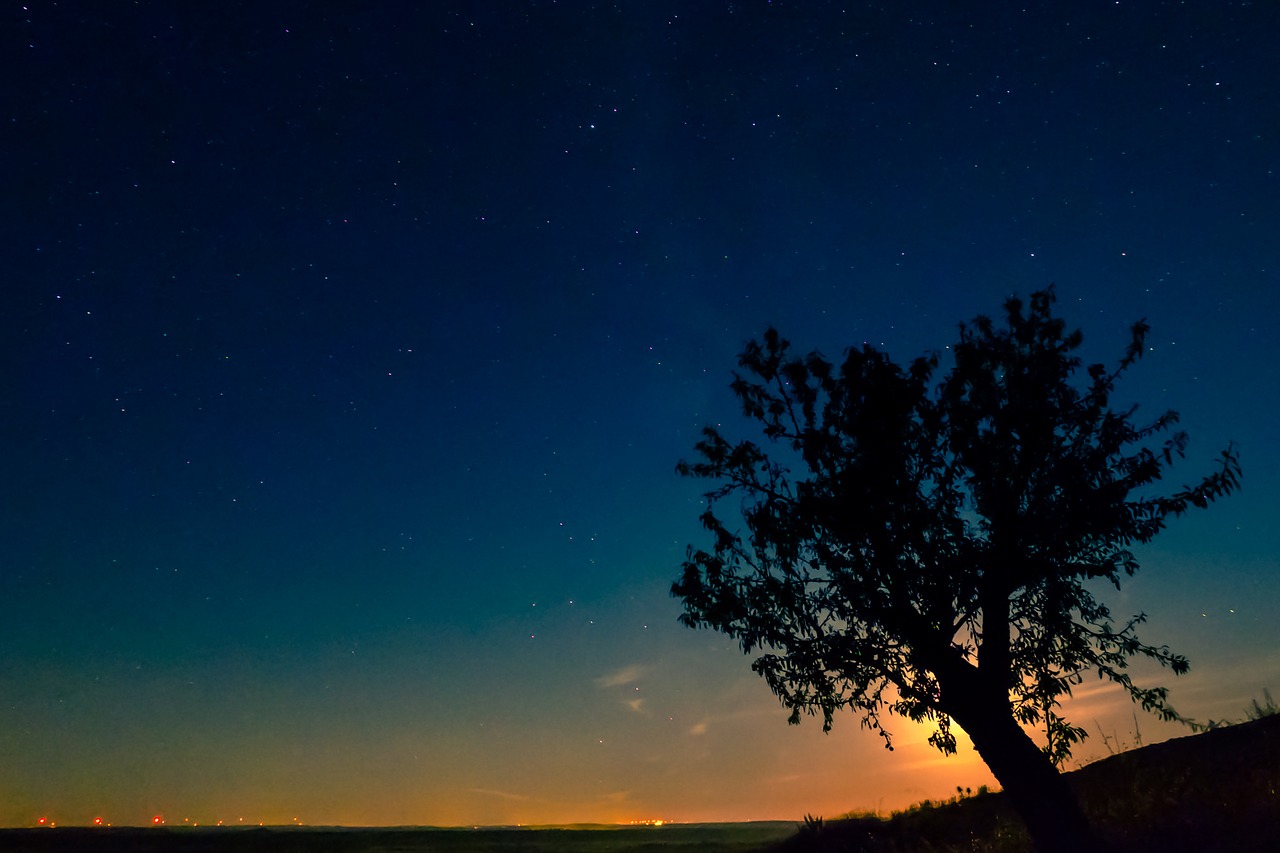 moonlight astronomy cosmic free photo