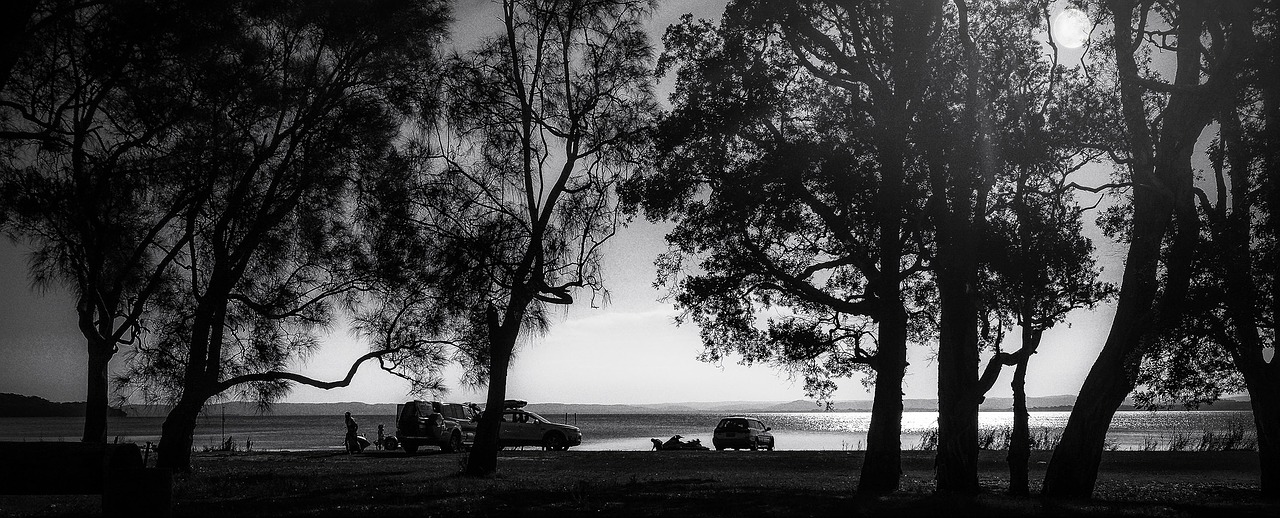 moonlight fishing black and white free photo