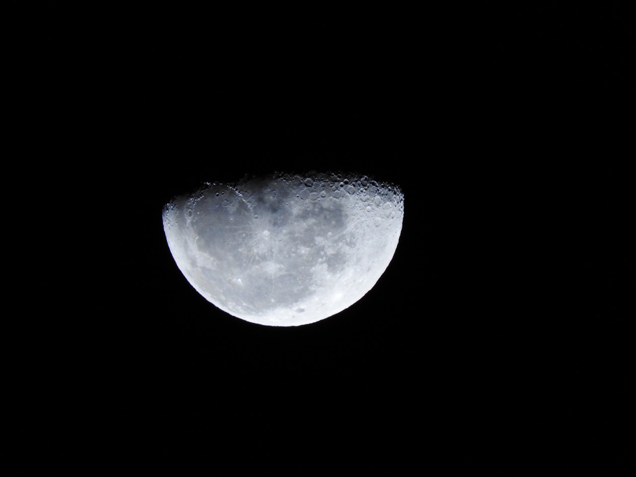 moonlight last quarter moon night free photo