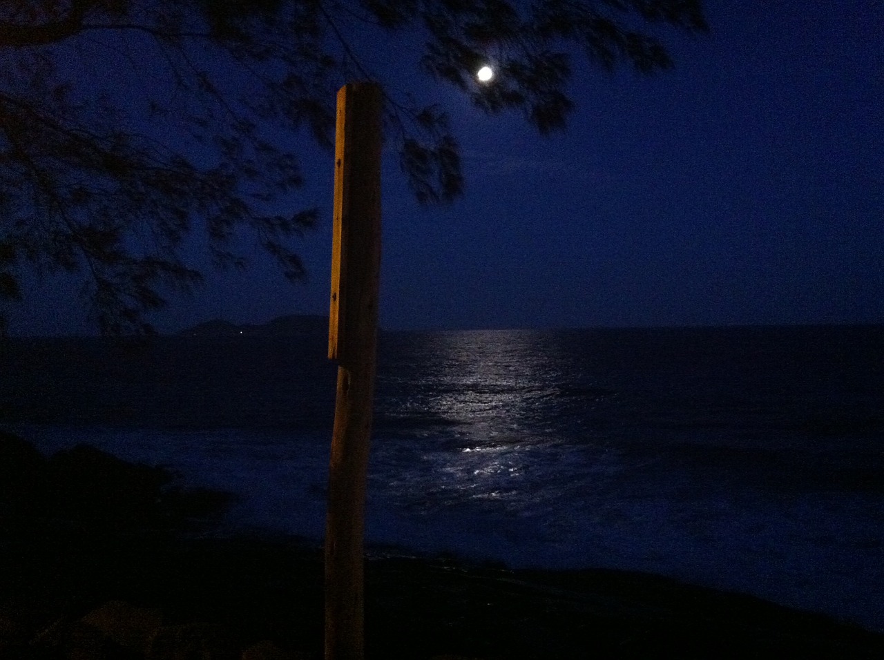 moonlight ocean night free photo