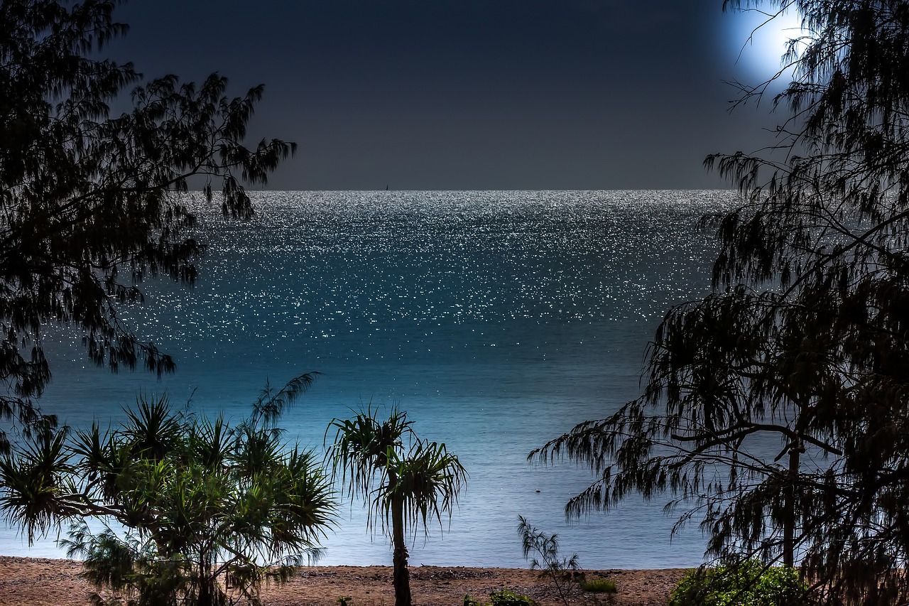 moonlight bay romantic beach warm night free photo