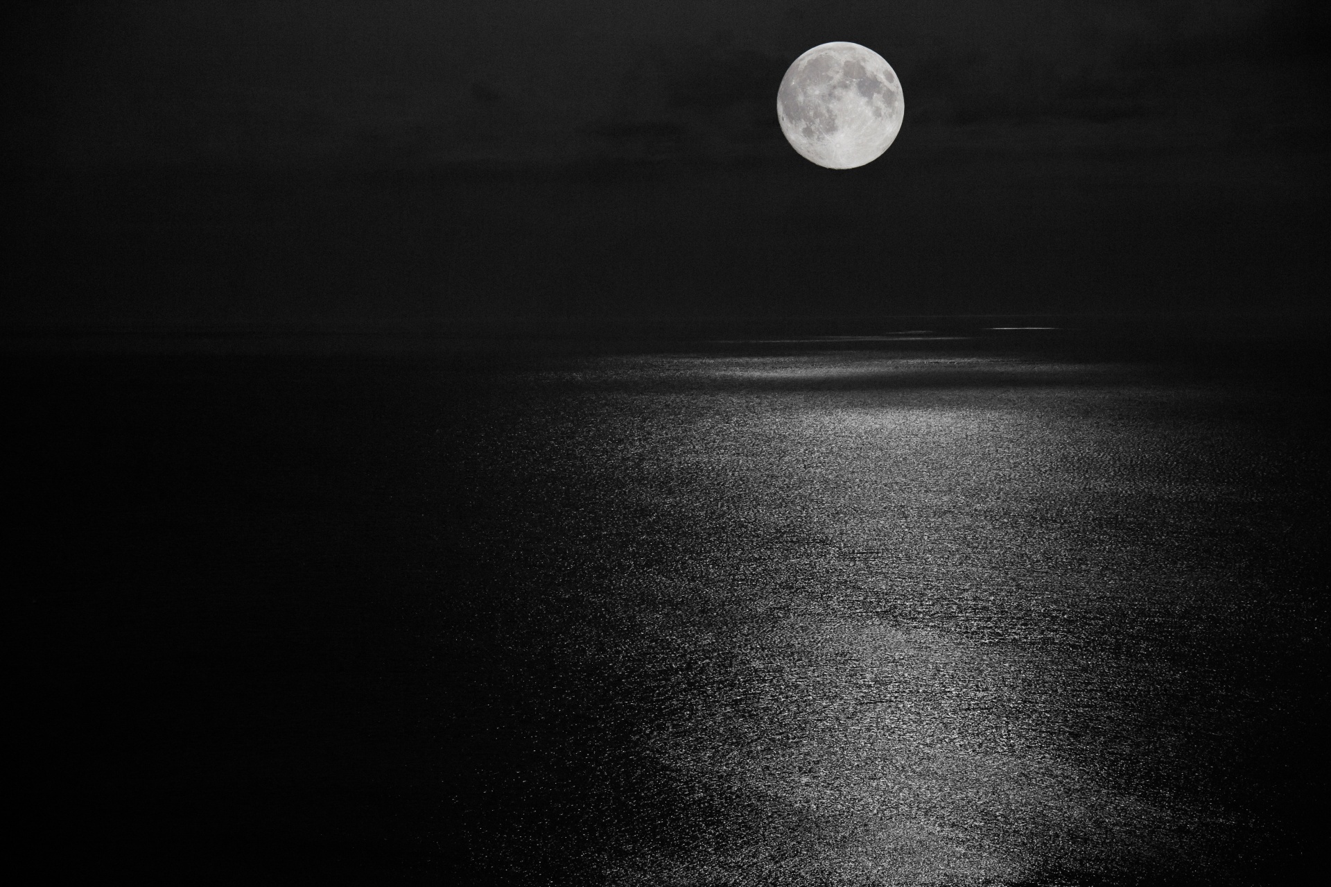 black dark horizon free photo