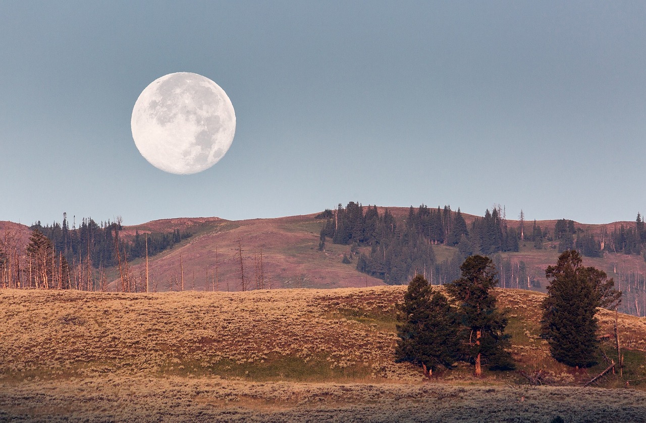 moonset dawn landscape free photo
