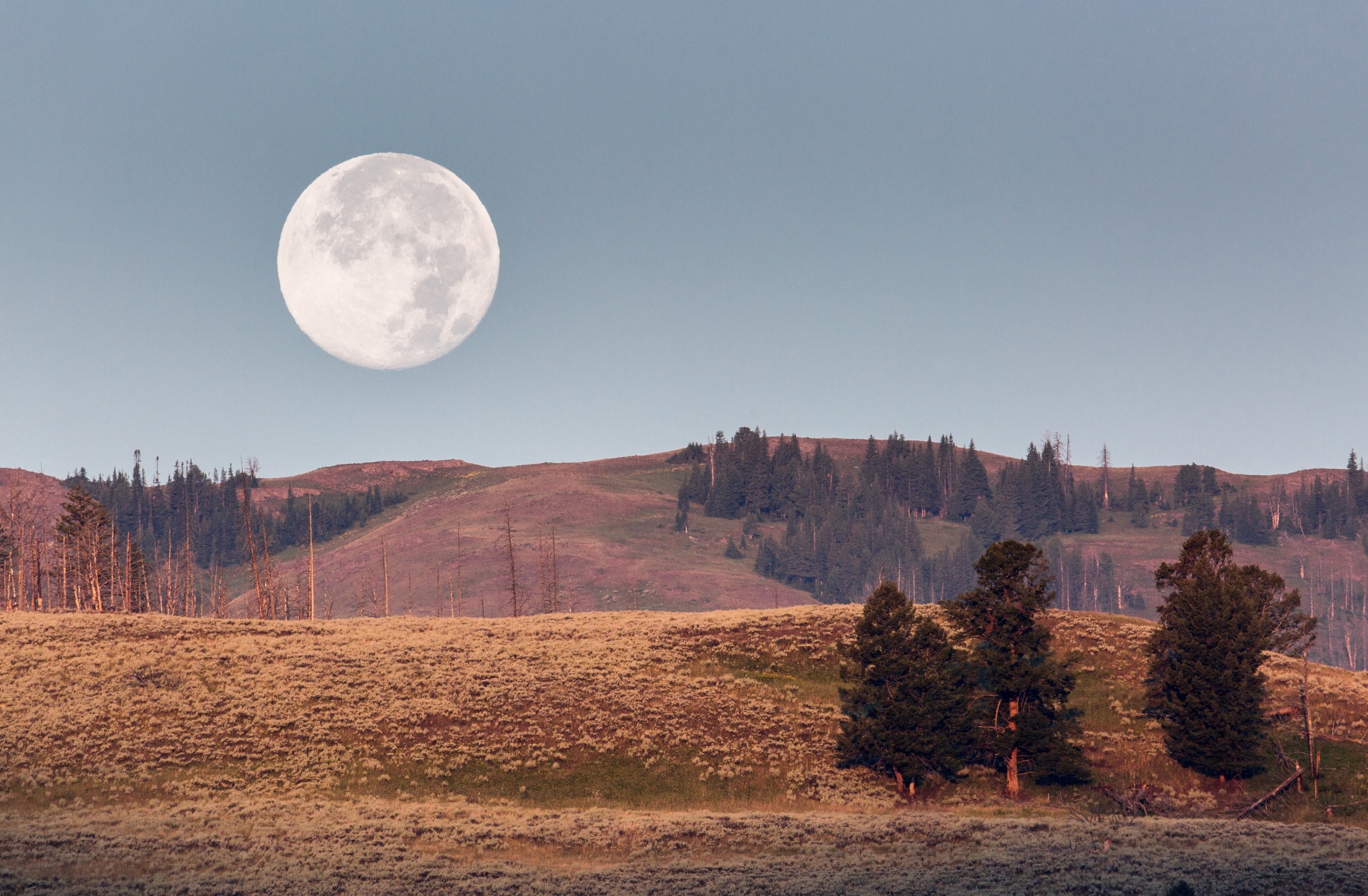 moon setting moonset free photo