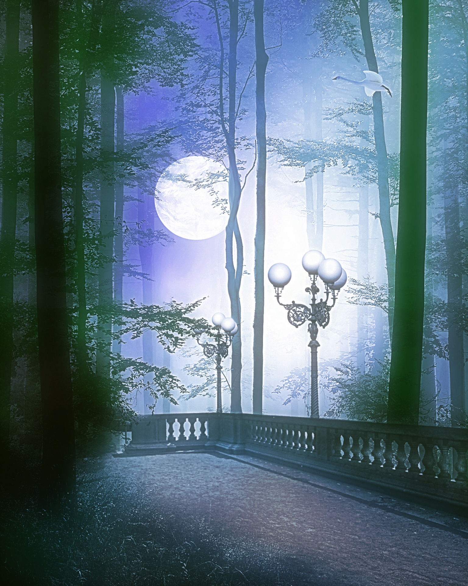 moon light forest free photo