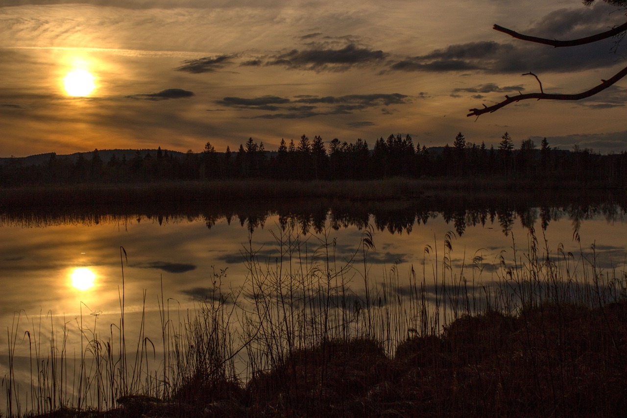 moor sunset torfsee free photo