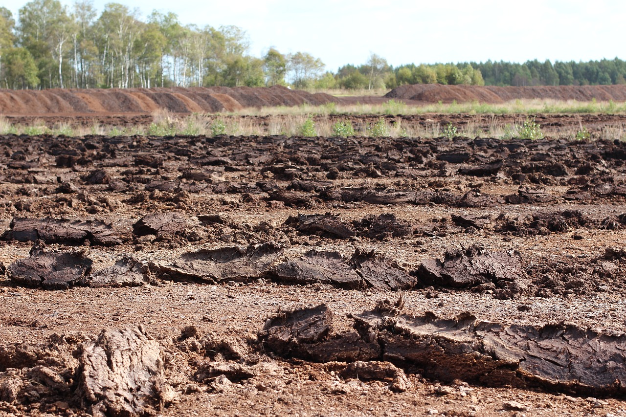 moor peat nature reserve free photo