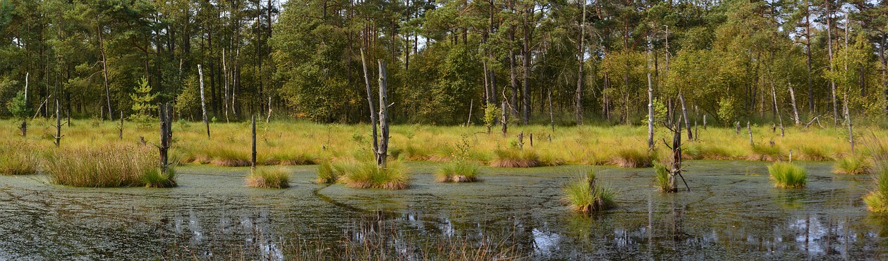 moor panorama pietz moor free photo