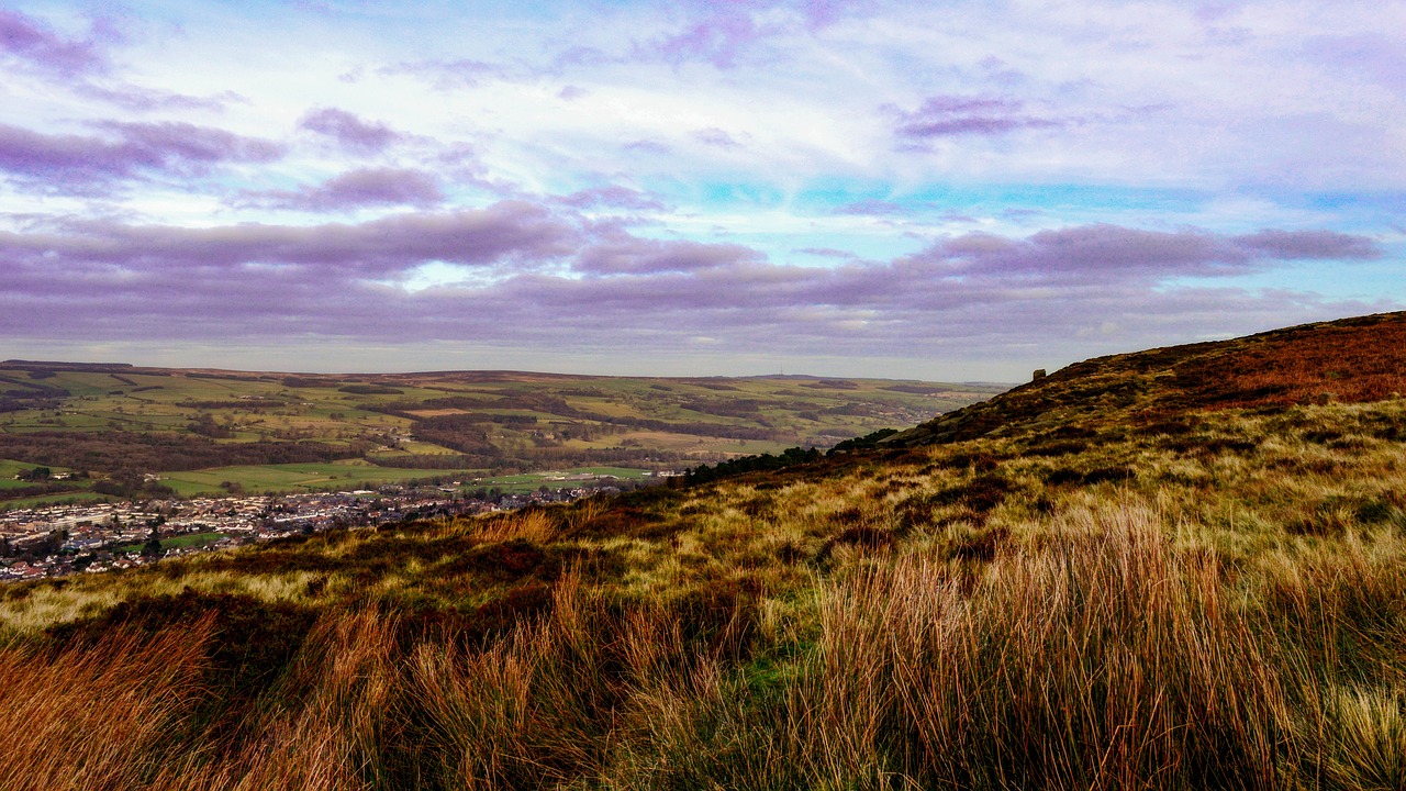 moor landscape nature free photo