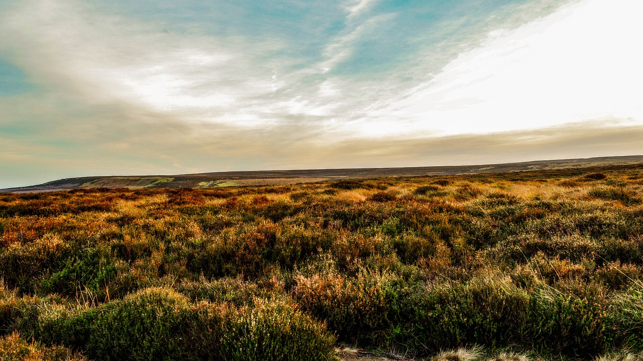 moor landscape nature free photo