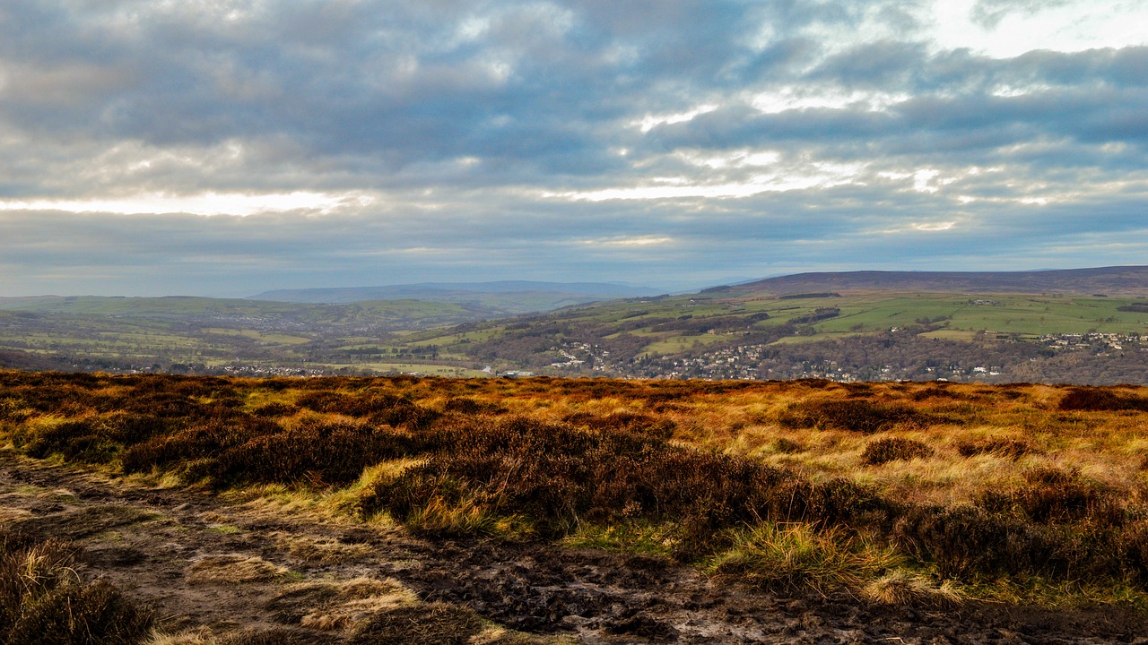 moor landscape nature free photo