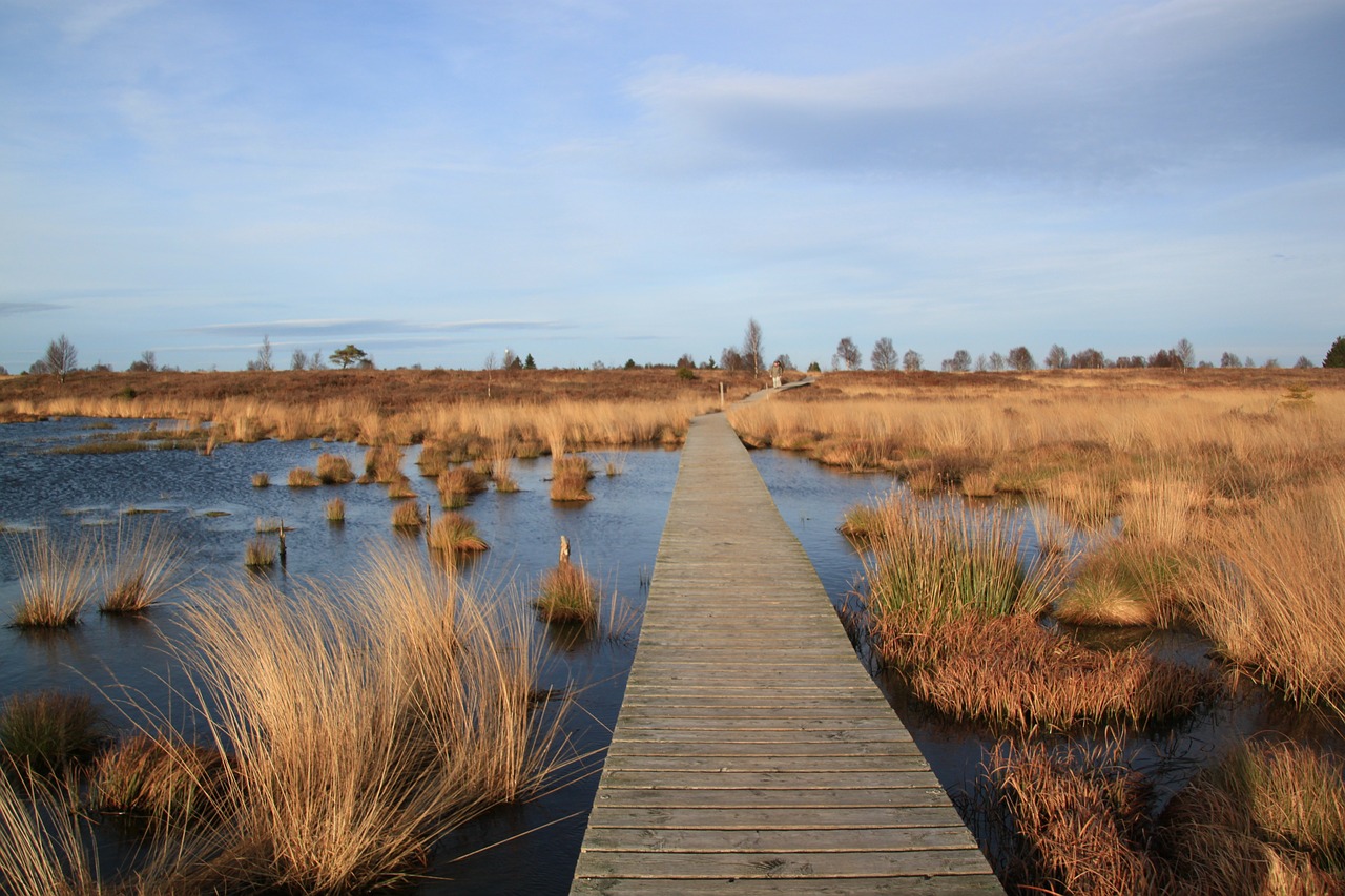 moor moorland away free photo