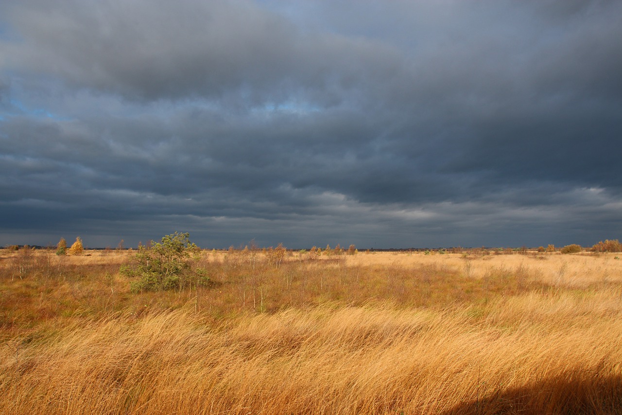 moor atmospheric sky free photo