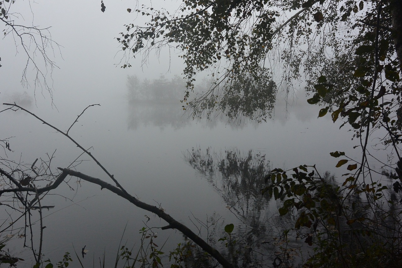 moor fog landscape free photo
