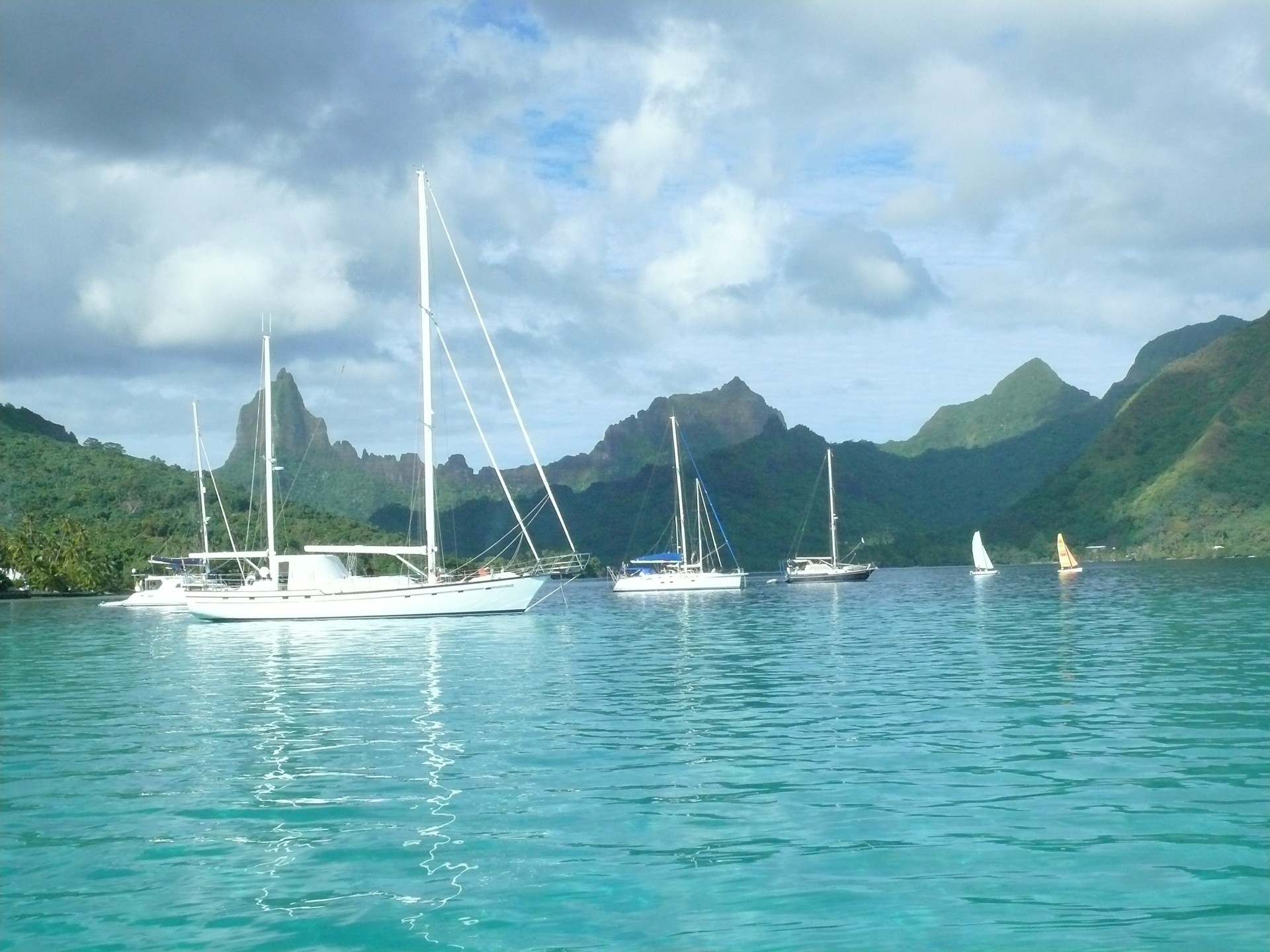 moorea tahiti sailing free photo