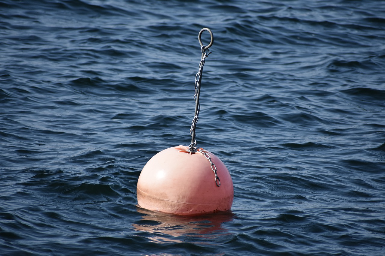 mooring buoy  sea  water free photo
