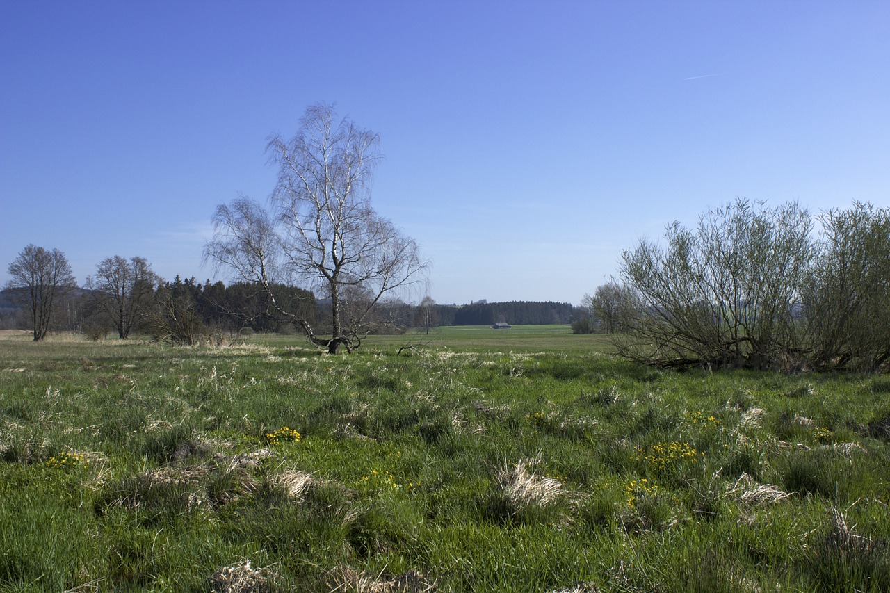 moorland landscape moor free photo