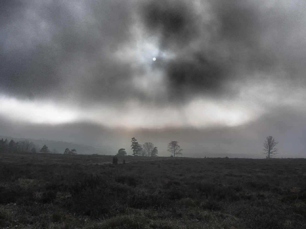 moorland mist autumn evening free photo