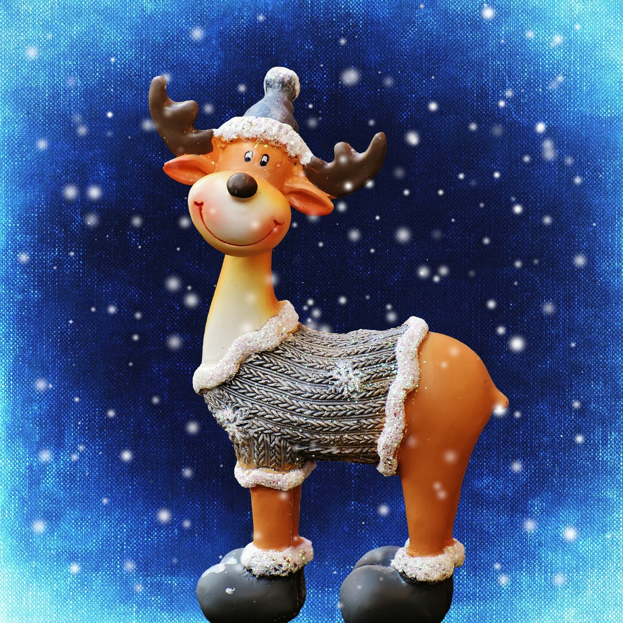 moose christmas christmas motif free photo