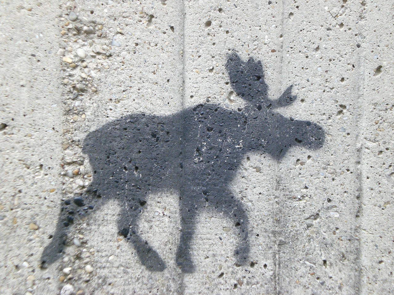 moose wall figure free photo