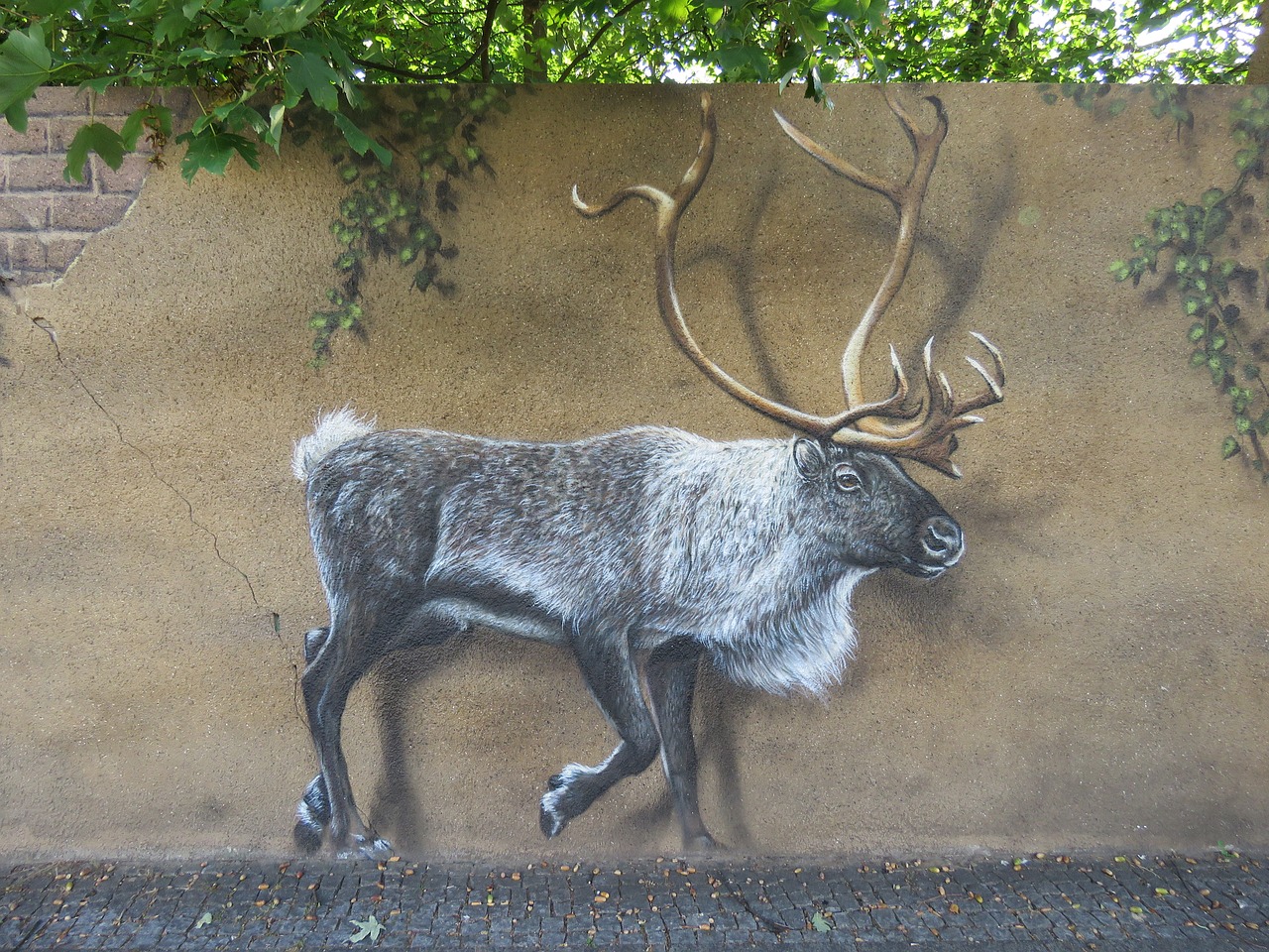 moose wall art wall free photo