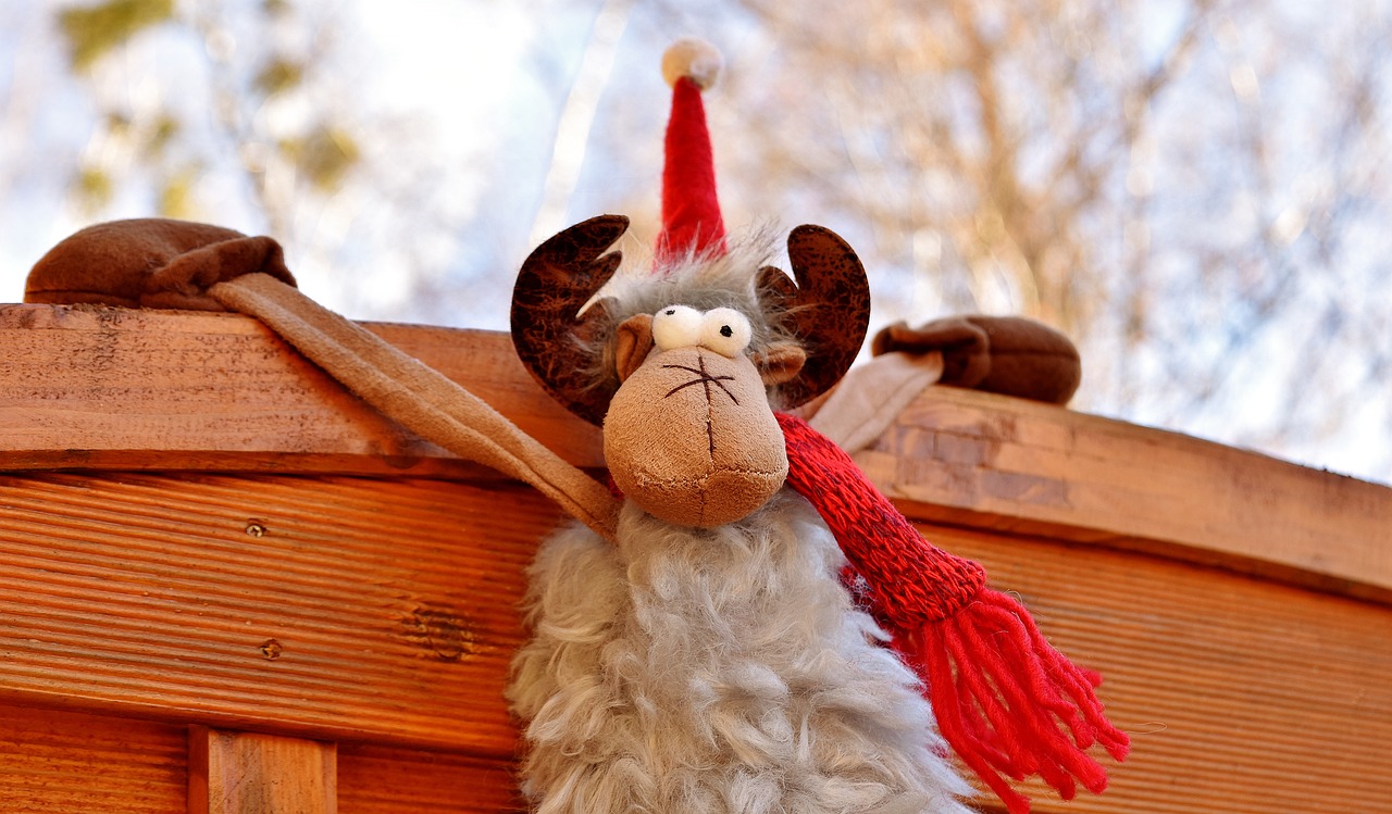 moose christmas santa hat free photo