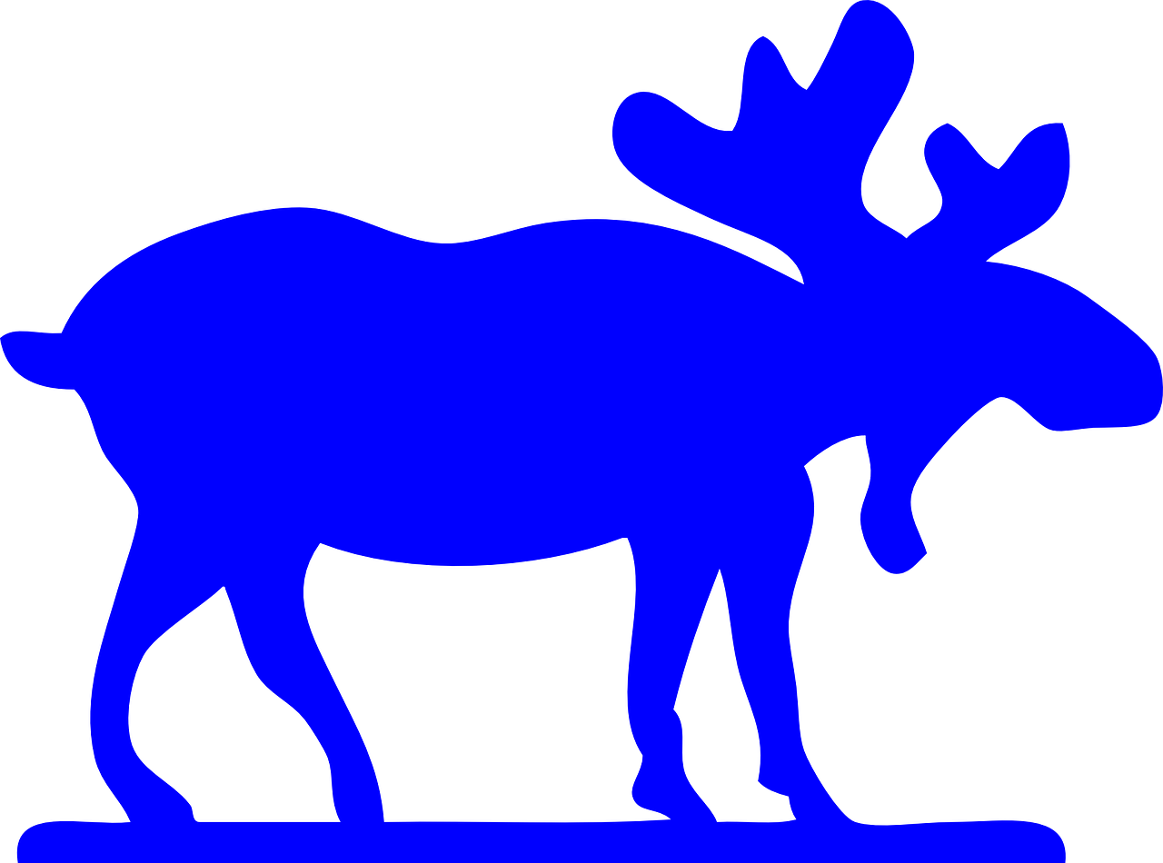 moose mammal animal free photo