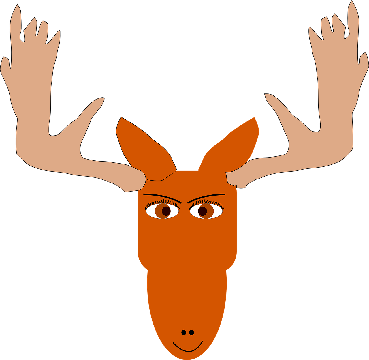 moose head antlers free photo