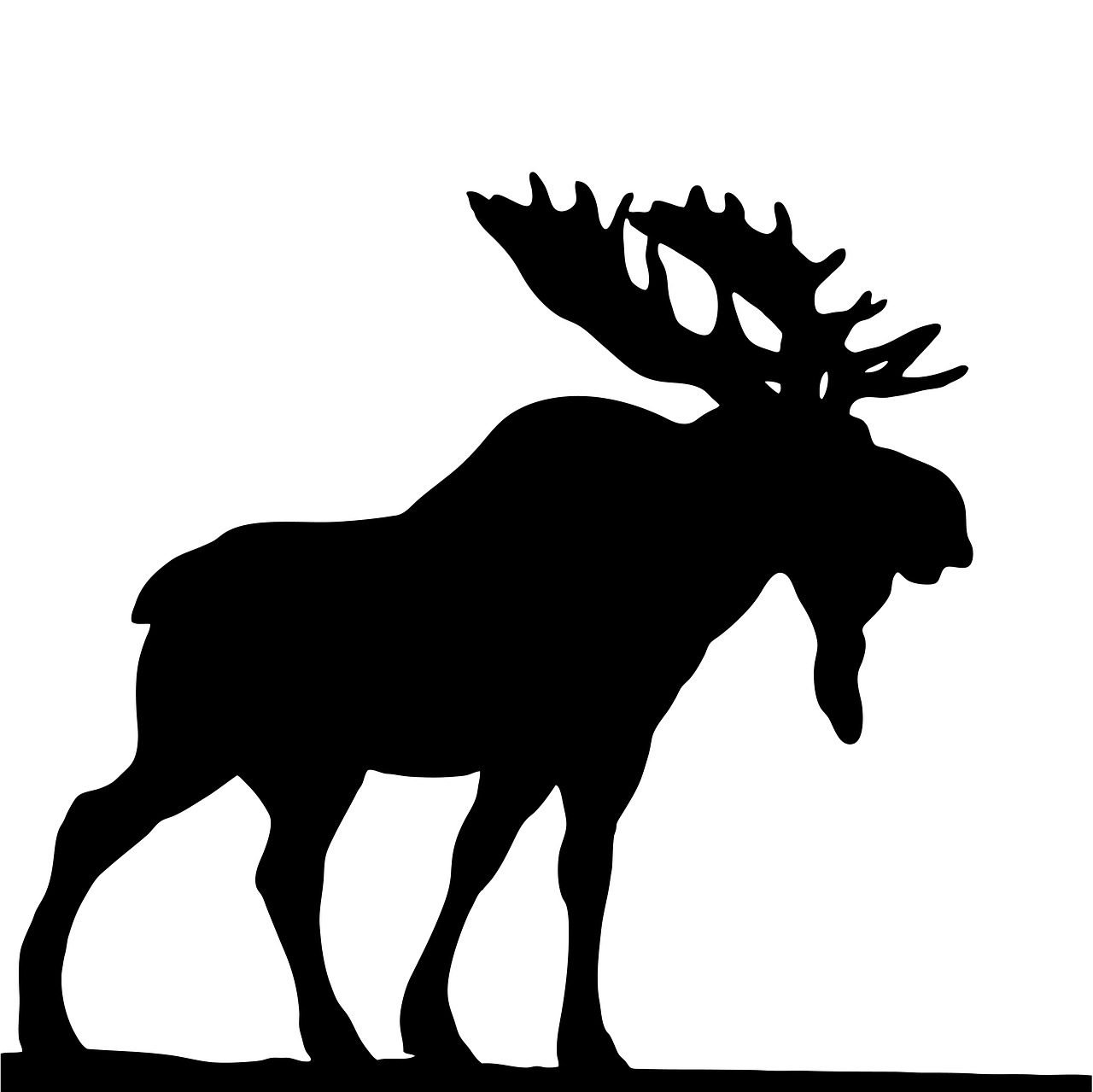 moose black silhouette free photo