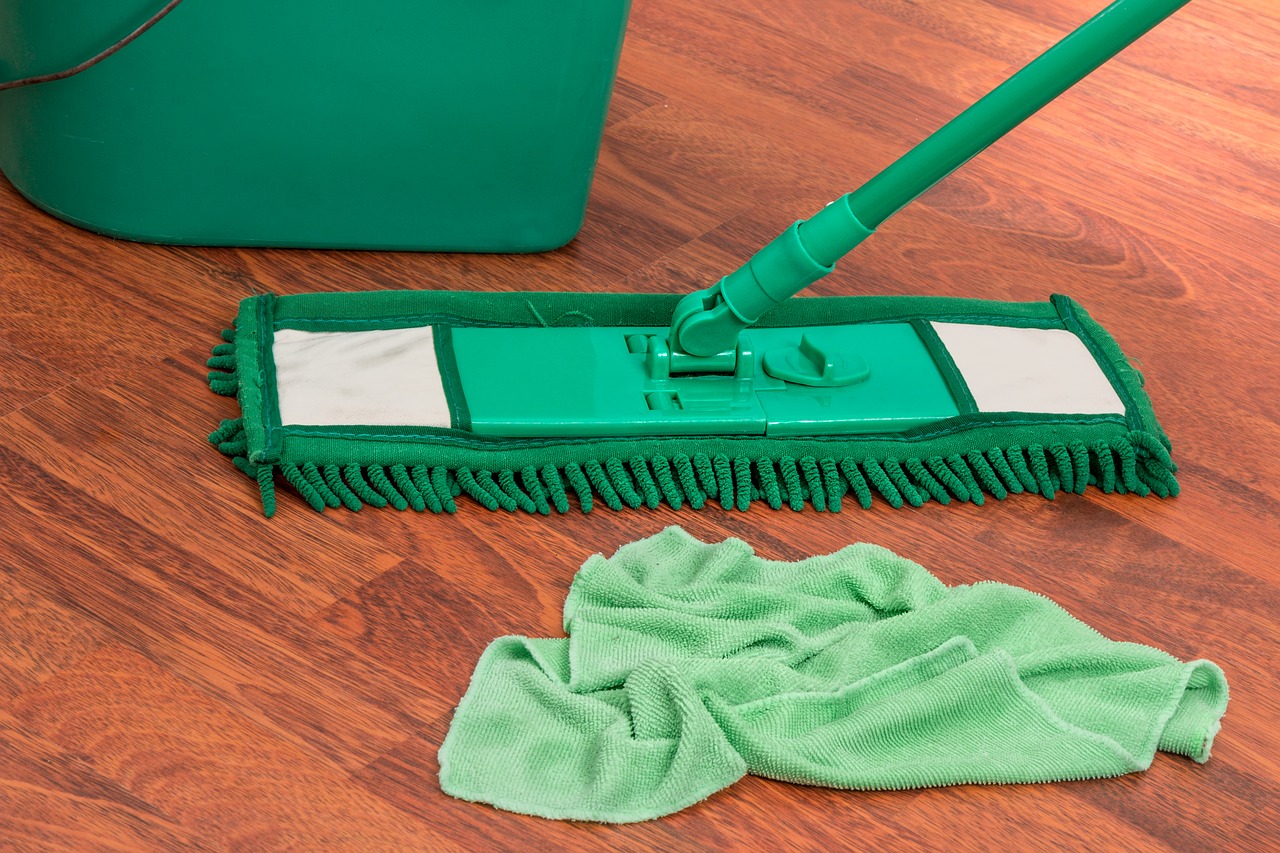 mop bucket chores free photo