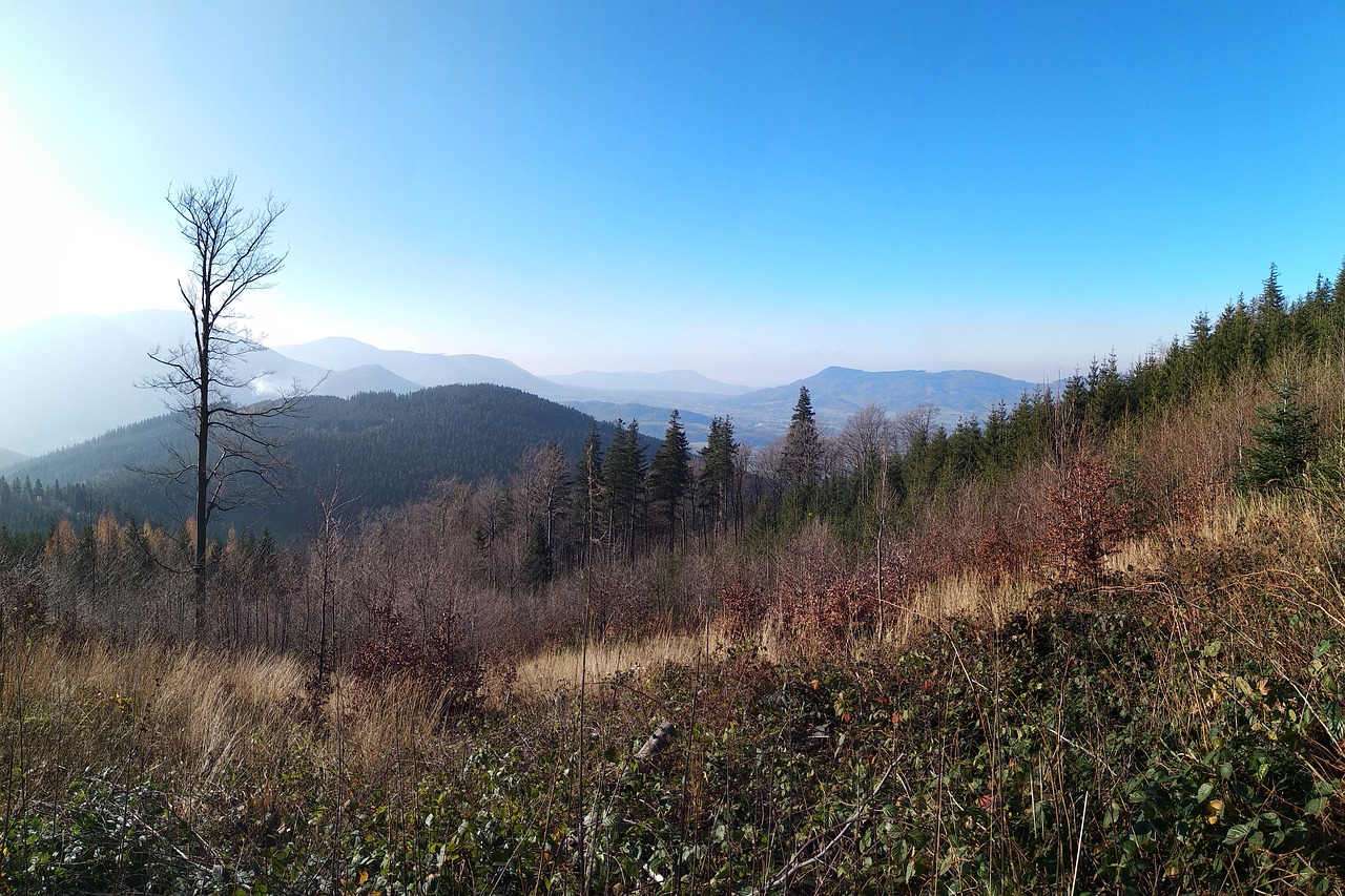 moravia  beskydy  mountains free photo