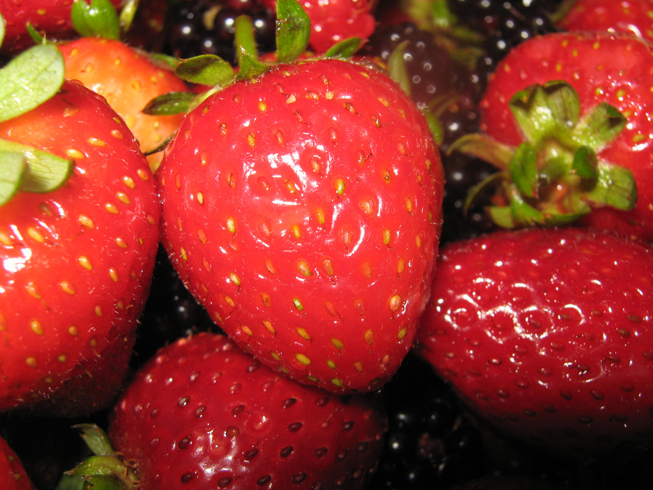 berries strawberries blackberries free photo