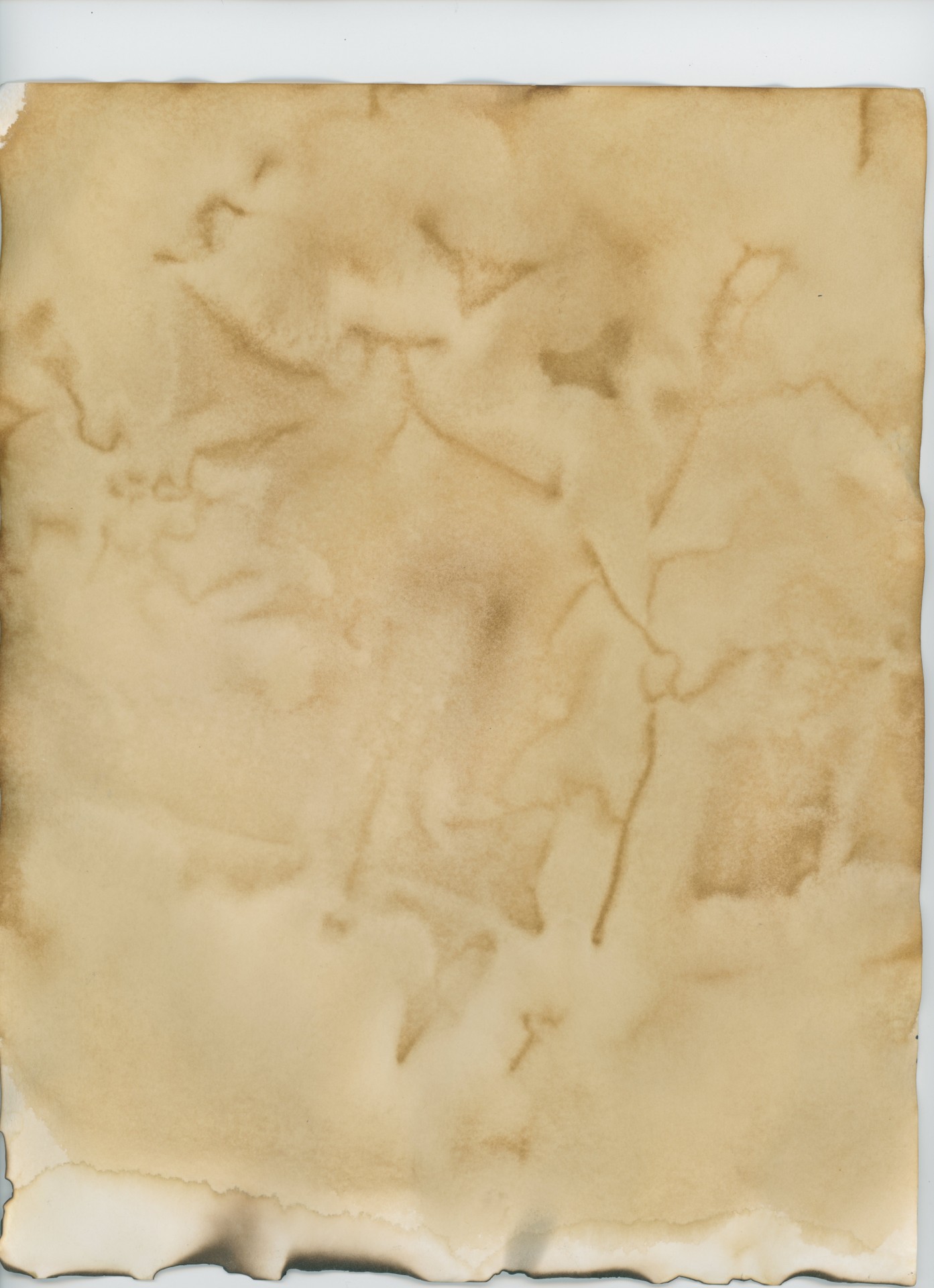 parchment paper medieval free photo