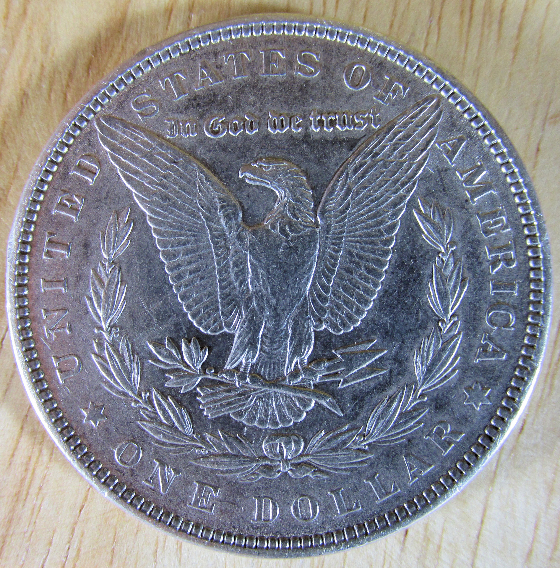 morgan dollar morgan dollar tail free photo