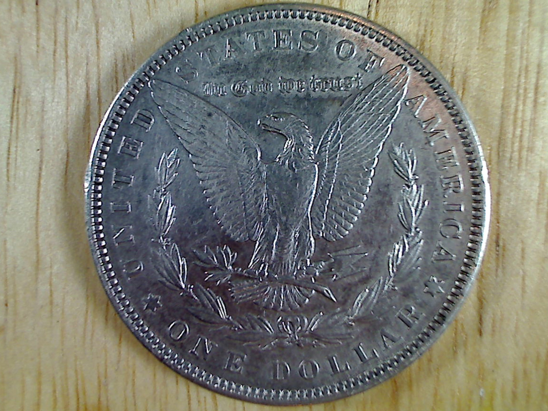 morgan dollar morgan dollar tail free photo