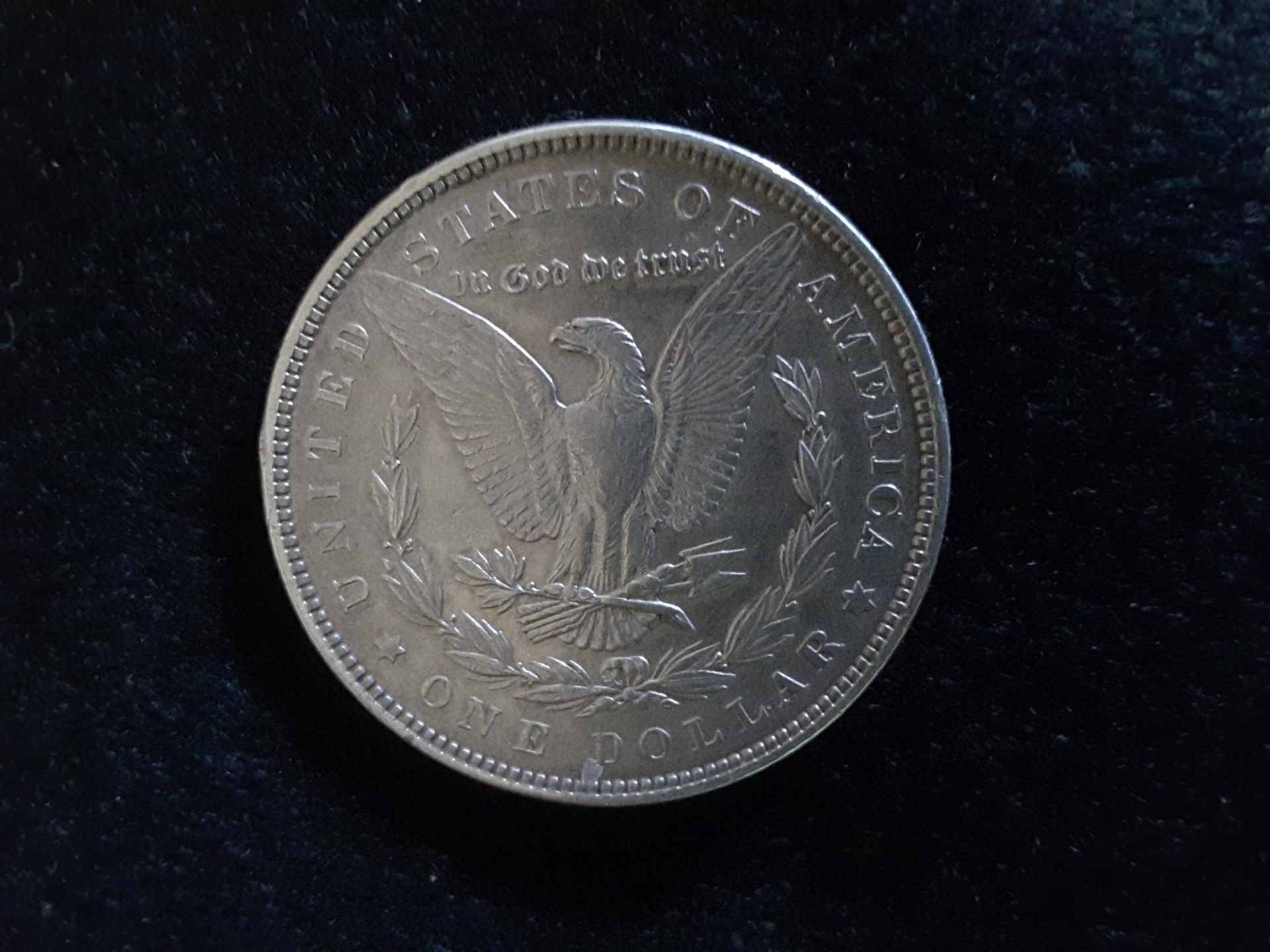 morgan silver dollar free photo