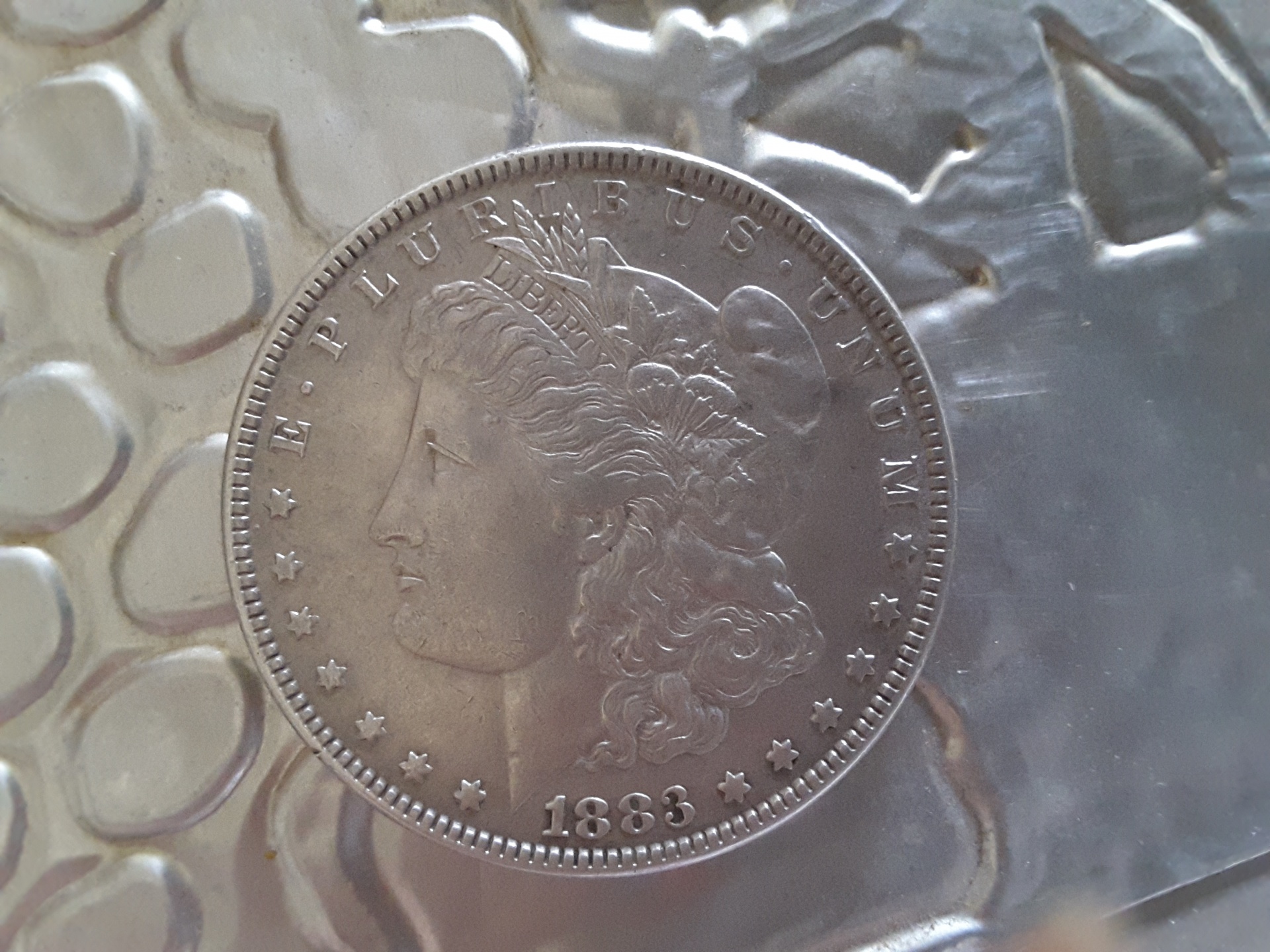 morgan silver dollar free photo