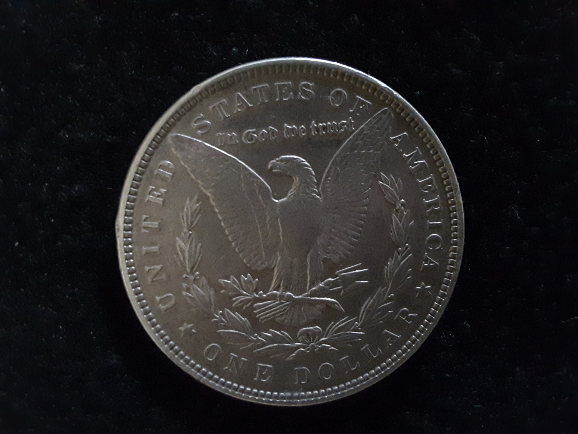 morgan silver dollar free photo