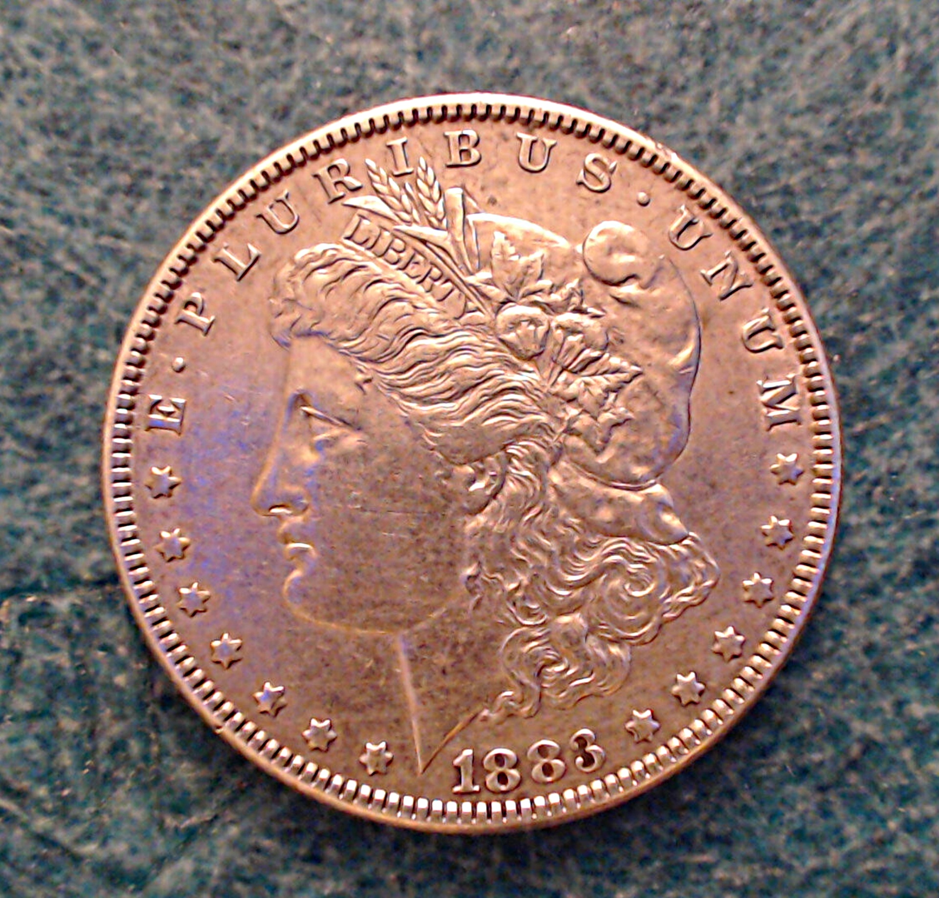 morgan silver dollar free photo