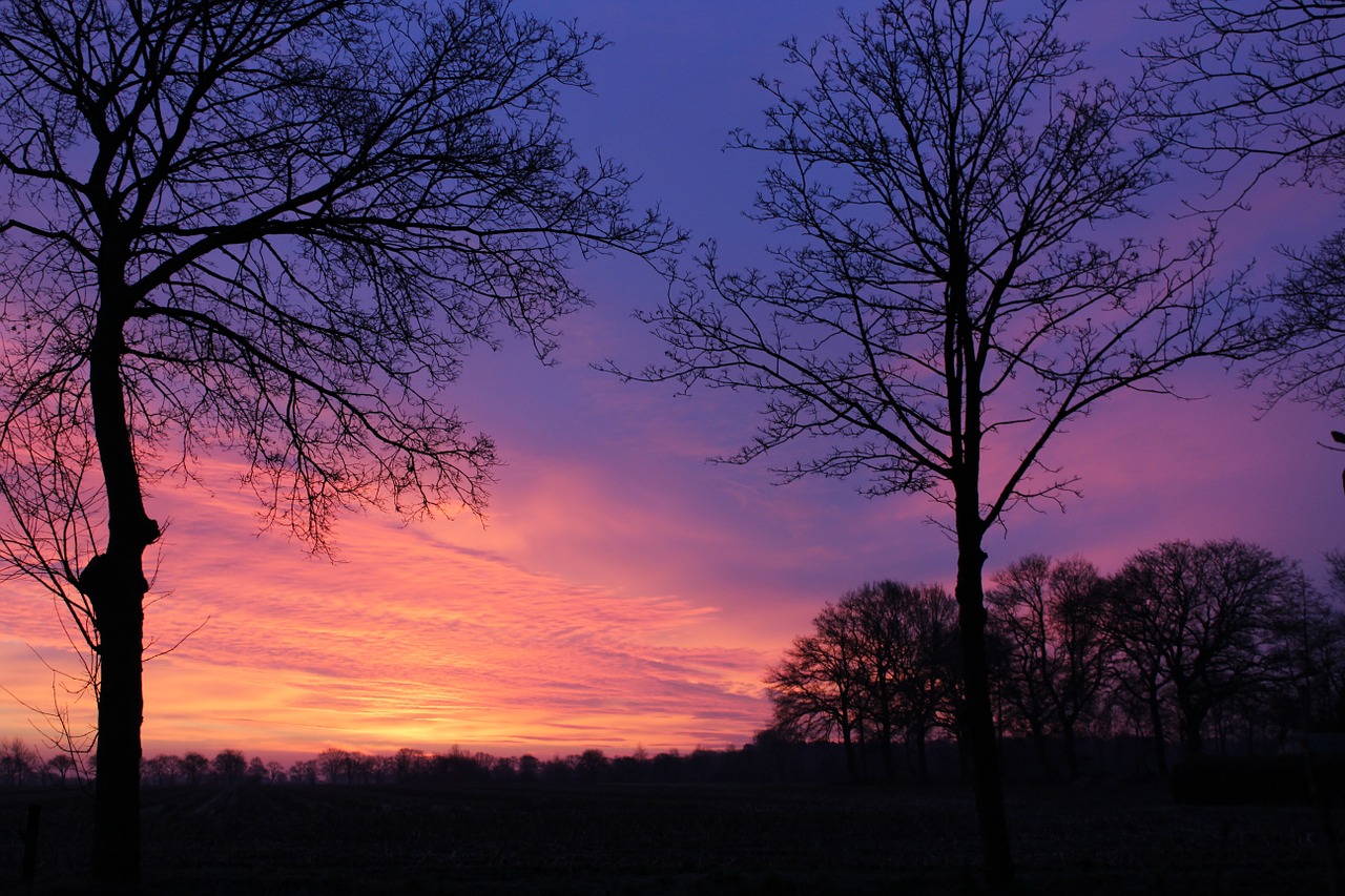 morgenrot nature sunrise free photo