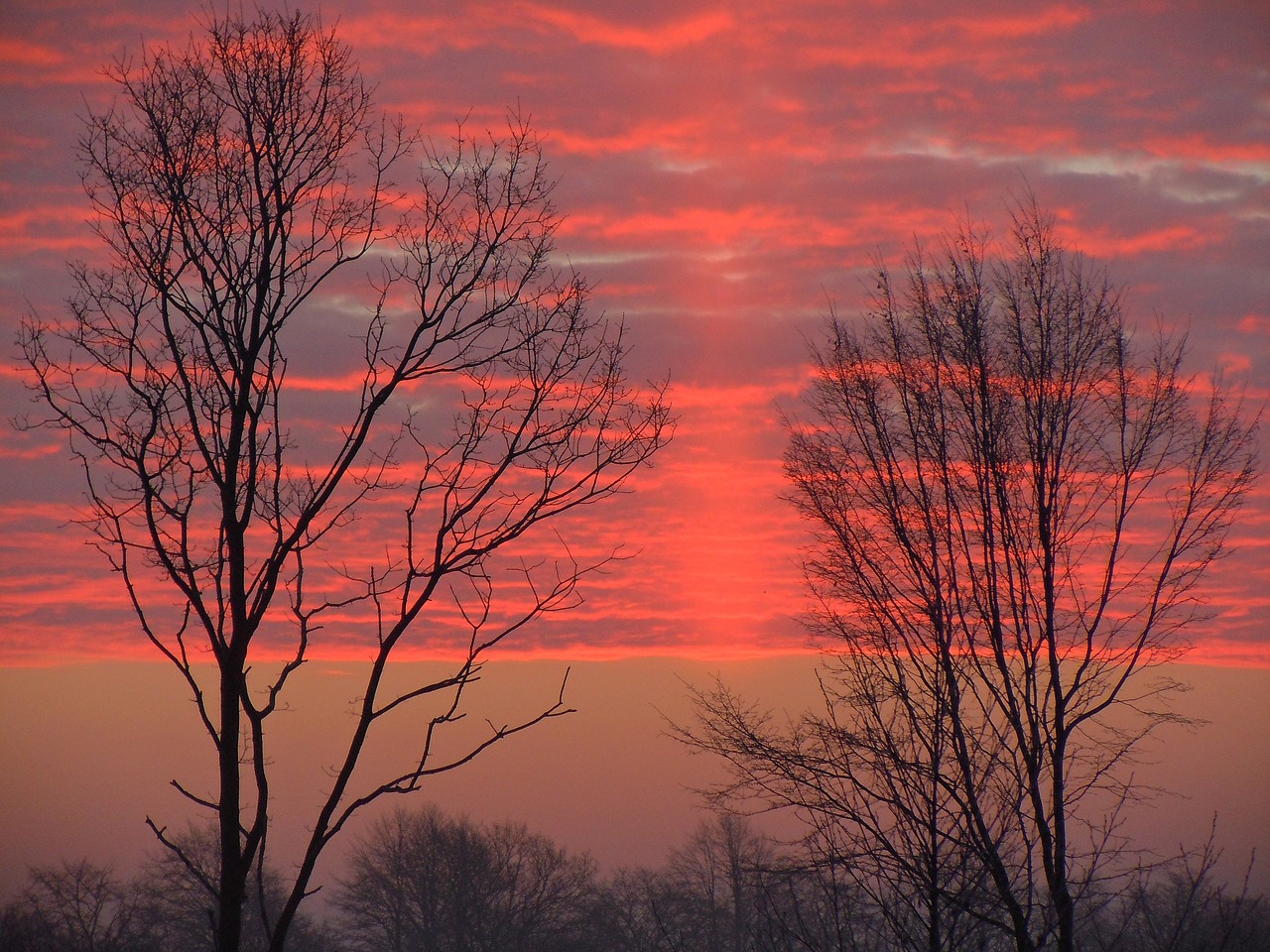 morgenrot clouds bright red free photo