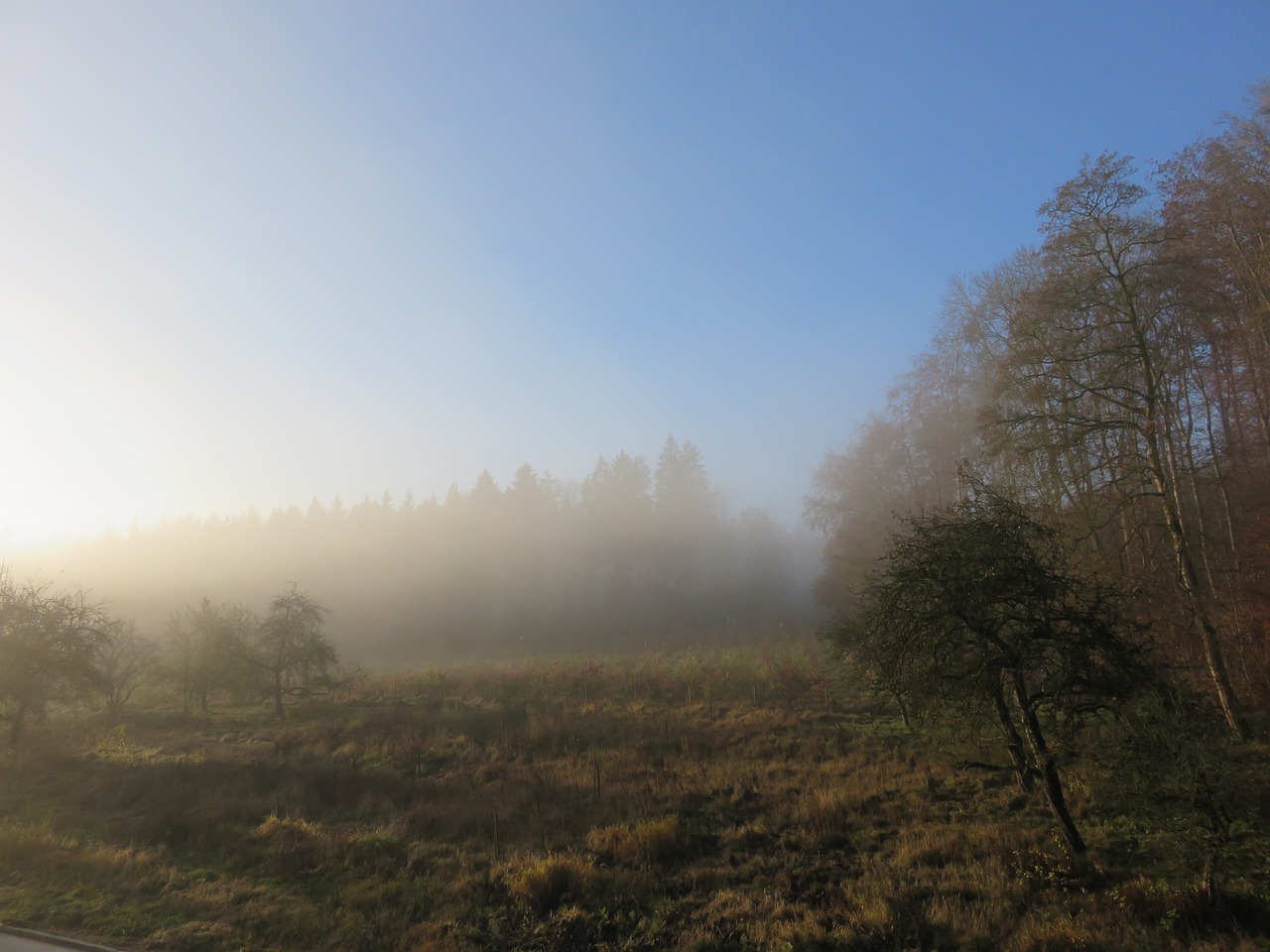 morgenstimmung fog landscape free photo