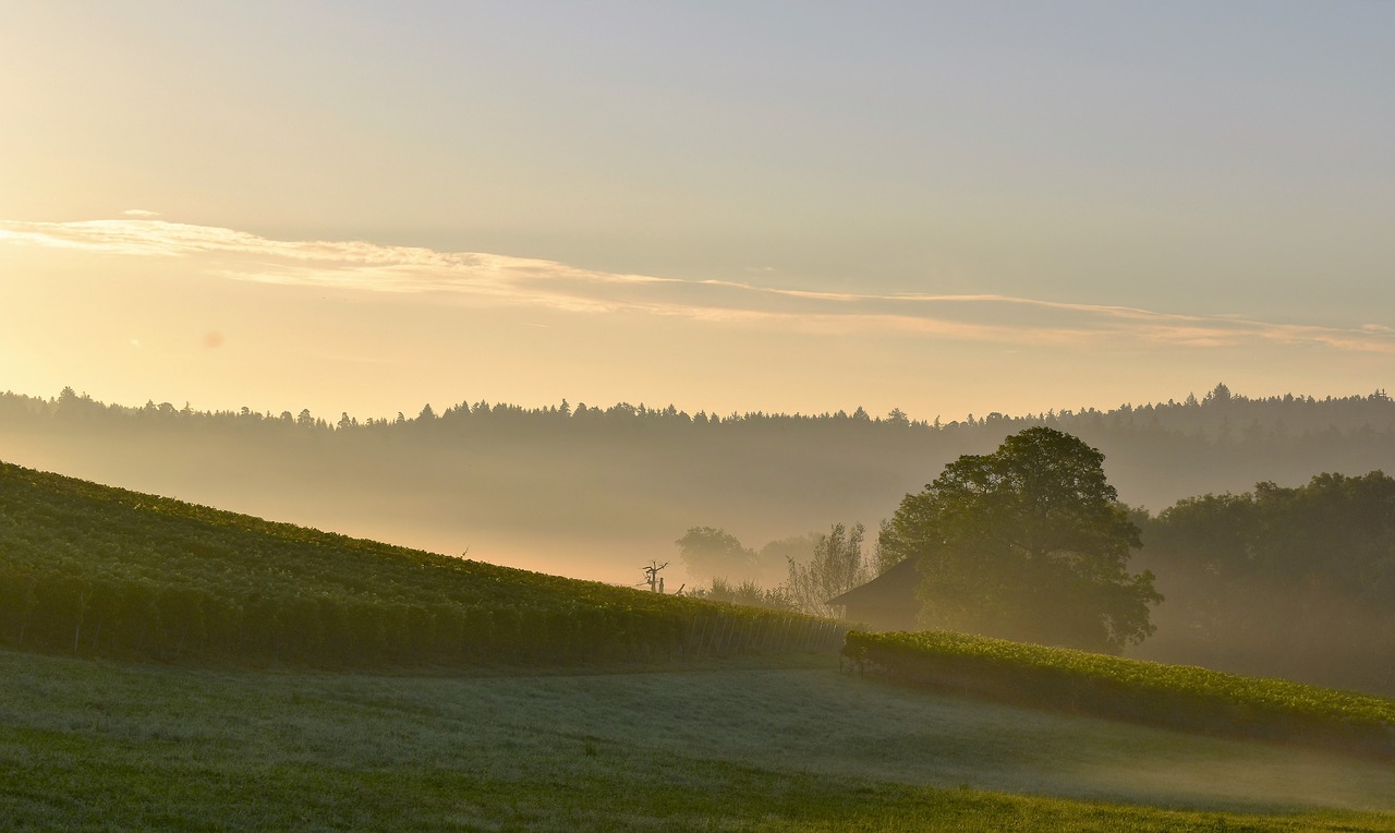 morgenstimmung sunrise skies free photo