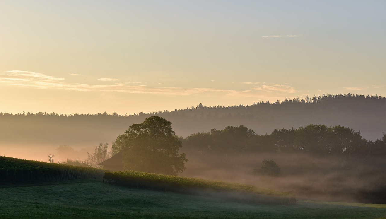 morgenstimmung sunrise skies free photo