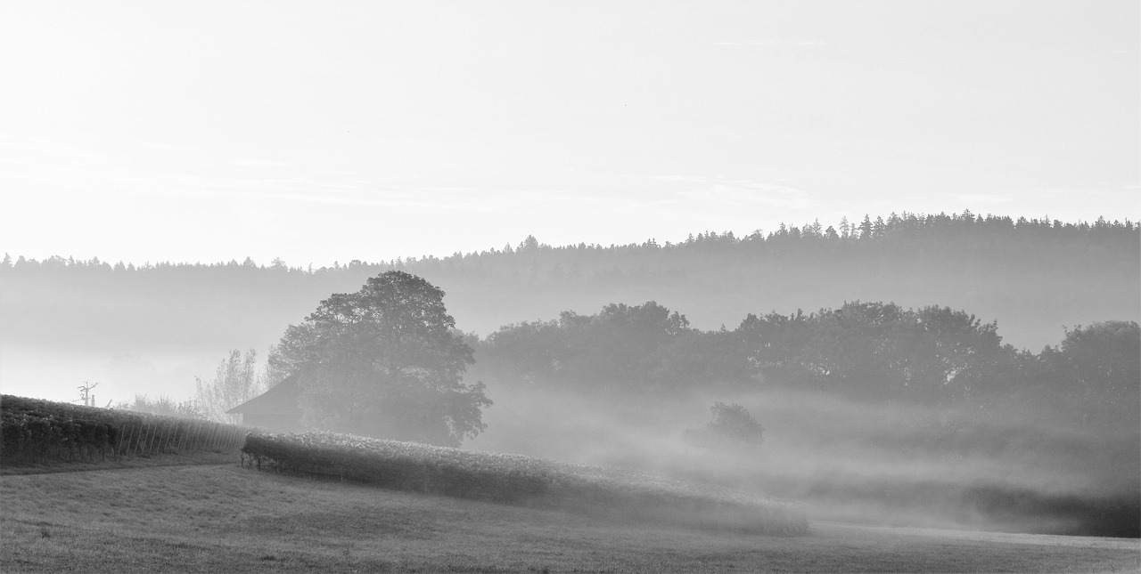 morgenstimmung sunrise skies free photo